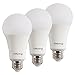 20W (150W - 200W Equivalent) A21 LED Light Bulb, 2400 Lumens 5000K Daylight White, E26 Medium Screw Base, Not-Dimmable, UL Listed, XMprimo - 3 Pack