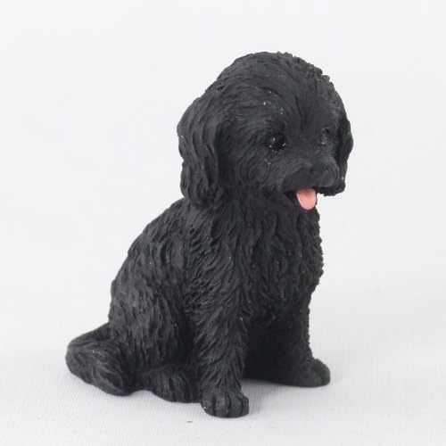 miniature cockapoo dog