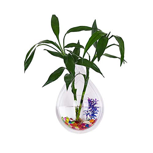 Amazon Com Taesouw Home Decor Meaty Plant Water Tank Shape Trigg