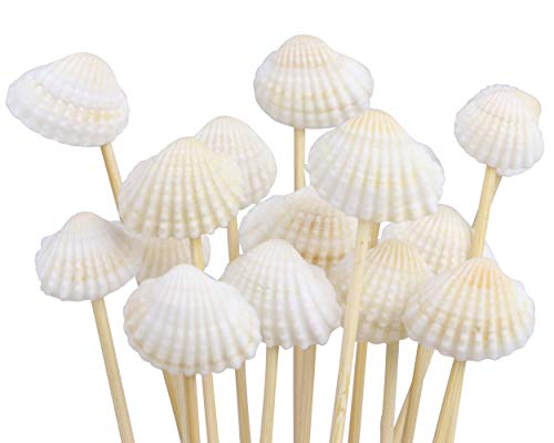 Seashell Cocktail Toothpicks, set of 200 total pieces Sea Shell Toothpicks Beach or Hawaiian Lua Set of Party Pick, 4.7" bamboo fancy appetizer tooth picks (Sea Shell) - Thumbnail 3