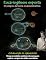 Livro Eucariogênese Exposta: O Colapso da Teoria Endossimbiótica: Por que os modelos evolutivos não conseguem explicar a origem das células eucarióticas