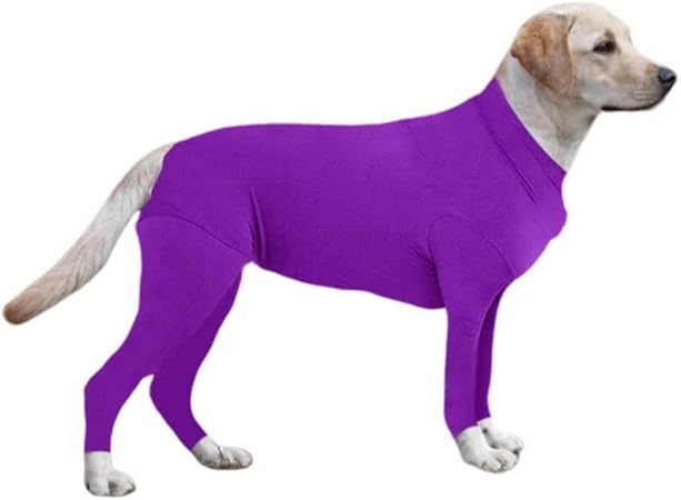dog suit to prevent shedding