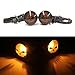 2pcs Skull Amber Lens Motorcycle LED Turn signal Lights Indicators Blinkers Lamp-Black