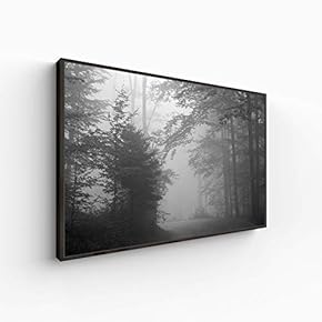 Canvas Wall Art for Living Room, Bedroom Monochrome Plants Framed Canvas Prints for Home Decoration Ready to Hang - 16x24 inches