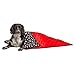 Disney Mickey Mouse Pet Throw Blanket, Black, 30 x 40/One Size