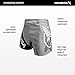 Hayabusa Kickboxing Shorts - Grey, 32