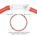 ITERY Dog Collar, Led USB Rechargeable Pet Safety Collar Waterproof Light up Adjustable Flashing Collar (Red)