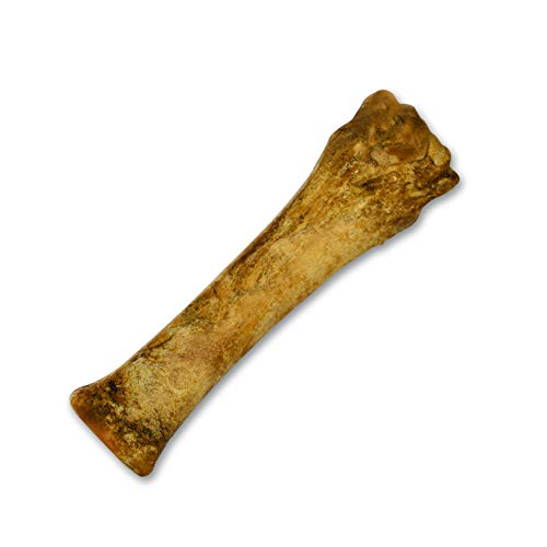 Nylabone Chicken Dog Treats - Image 3