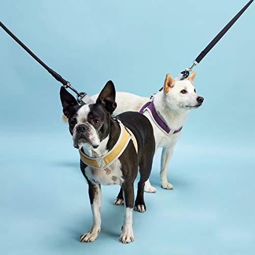 gooby simple step in dog harness