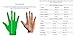 Cutters Game Day Football Glove, Silicone Grip Receiver Glove. Youth & Adult Sizes (1 Pair)