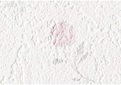 Amazon 長さ30mパック サンゲツ Eb47 生のり付き壁紙 糊つき 量産クロス 花柄 N Eb47 30 壁紙