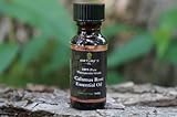 Nature's Oil 15 ml Calamus Root Essential Oil