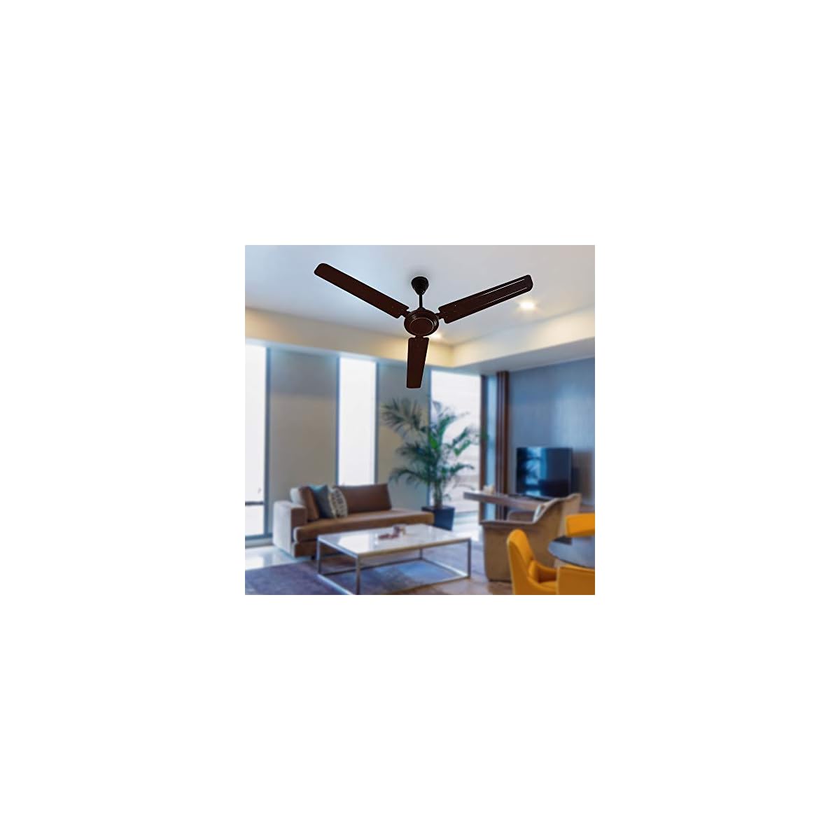 Crompton Hill Briz 48-inch Ceiling Fan 