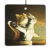 Titanic Kittens Car Air Freshener (Xmas Christmas Stocking Filler/Secret Santa Gift)