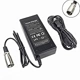 Antoble 24V 2A XLR Electric Scooter Battery Charger for Go-Go Elite Traveller Plus HD US, Ezip Mountain Trailz, Jazzy Power Chair