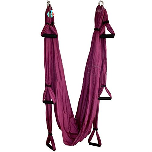 Pellor Flying Hammock Inversion Swing Aerial Pilates Yoga Fitness (Purple)