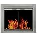 Pleasant Hearth CB-3301 Colby Fireplace Glass Door, Sunlight Nickel, Medium