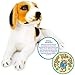 VIAHART Brittany The Beagle - 17 Inch Large Beagle Dog Stuffed Animal Plush - by Tiger Tale Toys
