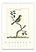 Cavallini Papers & Co., Inc. 2019 Wall Birds Calendar, Multi