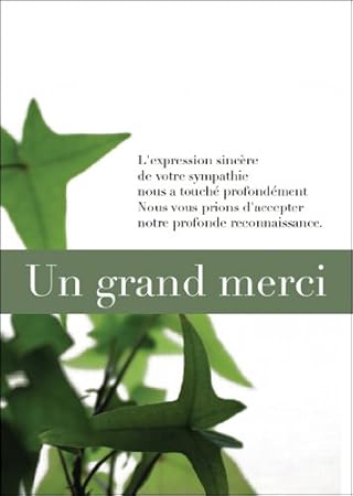 Confezione Da 5 Biglietti Di Ringraziamento Scritta In Francese Un Grand Merci Biglietto Di Ringraziamento Per Lutto Morte Condoglianze Carta Di Auguri Che Conforta Dal Dolore Scritta In Francese L Expression Sincere De Votre Sympathie Nous A Touche
