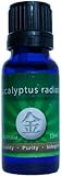 Rocky Mountain Oils - Eucalyptus radiata