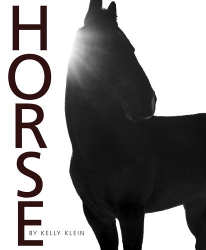 Horse by Kelly Klein