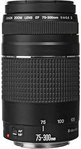 Canon EF 75-300mm f/4-5.6 III Telephoto Zoom Lens Canon DSLR view 3
