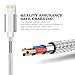 Certified, 2-Pack 5W 1A USB Power Wall Charger with 2-Pack 3FT/1M & 6FT/2M Nylon Braided 8 Pin Lightning to USB Cable Charger (Silver)