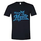 Feisty and Fabulous Pokemon Go Team T-Shirts, Team Mystic, Team Valor, Team Instinct