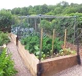 Gardening Naturally Black Butterfly Netting 2m x 5m Garden Netting view 5