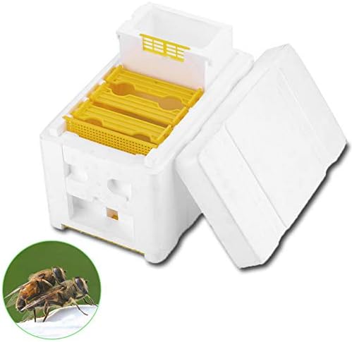 Vimbhzlvigour Foam Bee Hive Harvest Beekeeping Box Plastic Pollination Honeycomb Container Beekeeping Supplies