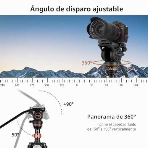 Cayer AF2451 Video Tripod, Aluminum Alloy Video Camera Tripod 74 Inch for Canon Nikon Sony Olympus Panasonic Digital SLR Camera