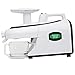 Tribest Green Star Elite GSE-5000 Jumbo Twin Gear Juice Extractor PLUS FREE SOFT FRUIT KNOB