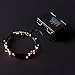 RTGS 60 Warm White Color LED String Lights Batteries Operated on 20 Feet Long Green Color Wire with Black Waterproof Batteries Box and Timer