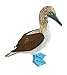 Safari Ltd. Blue Footed Booby – Realistic Hand Painted Toy Figurine Model – Quality Construction from Phthalate, Lead and BPA Free Materials – for Ages 3 and Up