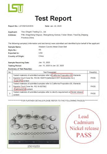 TOPACC Western Metal Concho Belt for Women Cowgirl Chain Belts for Dresses Jeans Country Concert Outfit