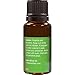 Lime Essential Oil ( Citrus Aurantifolia ) 15ml - 100% Pure Therapeutic Grade Oil by Viola Essentials - Astringent and Antiseptic for Skin Care | Immune booster rich in Vitamin C