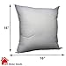 IZO All Supply Square Sham Stuffer Throw Pillow Insert, White, 16 by 16 Inches, Pack of 2