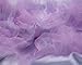 Haian ABDL Girls Ruffle Panties Chiffon Bloomers Diaper Cover (Large Bast fit waist 34