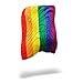 Rumpl The Original Printed Puffy | Outdoor Down Camping Blanket for Traveling, Picnics, Beach Trips, Concerts | The Pride Flag, Rainbow, Throwthumb 2