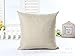 Crystal Emotion Dragonfly Good Luck Always BE You Blue Throw Pillow Indoor Cover Pillow Case for Home Sofa Car Office 18x18inch