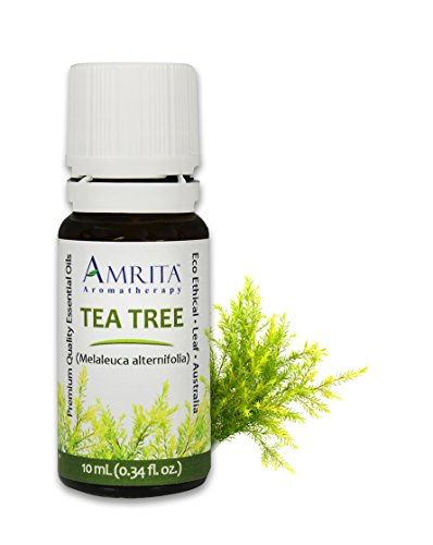 Amrita Aromatherapy Organic Tea Tree Essential Oil, 100% Pure Undiluted Melaleuca alternifolia, Therapeutic Grade, Premium Quality Aromatherapy oil, Tested & Verified, 10ML