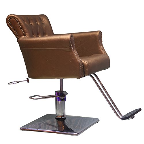 shengyu Classic Hydraulic Barber Chair Styling Salon Beauty