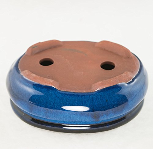 Oval Mame Shohin Bonsai / Cactus & Succulent Pot 6"x 5"x 2" - Dark Blue Glazed