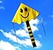 Large Easy Flyer Big Smiley face kite 4 x 7 ft by Weifang New Sky Kites
