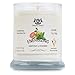 Grapefruit & Spearmint Aromatherapy Deodorizing Soy Candle For Pets, Candles Scented, Pet Odor Eliminator & Animal Lover Gift