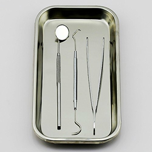 Aphrodite 4pc Tray Stainless Dental Tool Set Kit Dentist Teeth Clean Hygiene Pick Mirror