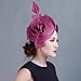 Aniwon Cocktail Pillbox Hat Fascinator Hair Clip Bridal Headwear for Women