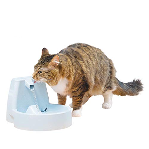 petsafe dog water fountain