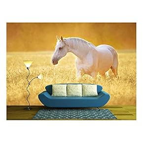 White Orlov Trotter Horse in Rye, Golden Sunset - Removable Wall Mural | Self-Adhesive Large Wallpaper - 66x96 inches